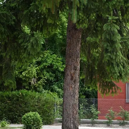 Pretty Place *
